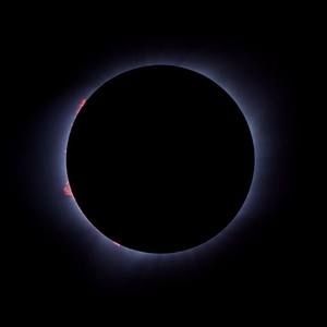 Meet your Posher, Alexander